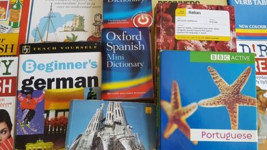 diccionario idiomas